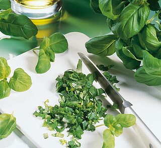 Basilikum Profi-​Kräuter 