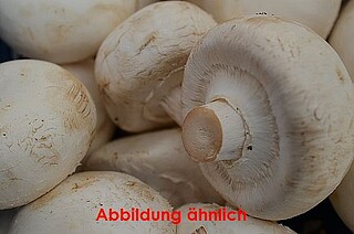 Champignons HKL. I 