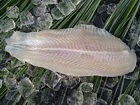 Pangasius-​Filet natur 