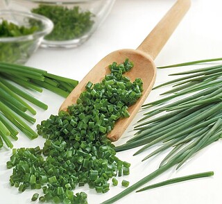 Schnittlauch Profi-​Kräuter 