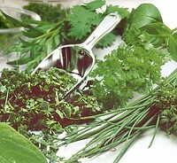 8-​Kräutermischung Profi-​Kräuter 