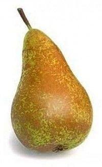 Birnen "Conferenz" o.​ä. HKl. I 12kg DE 