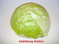 Eisbergsalat 9/​10er Kis HKl. I 